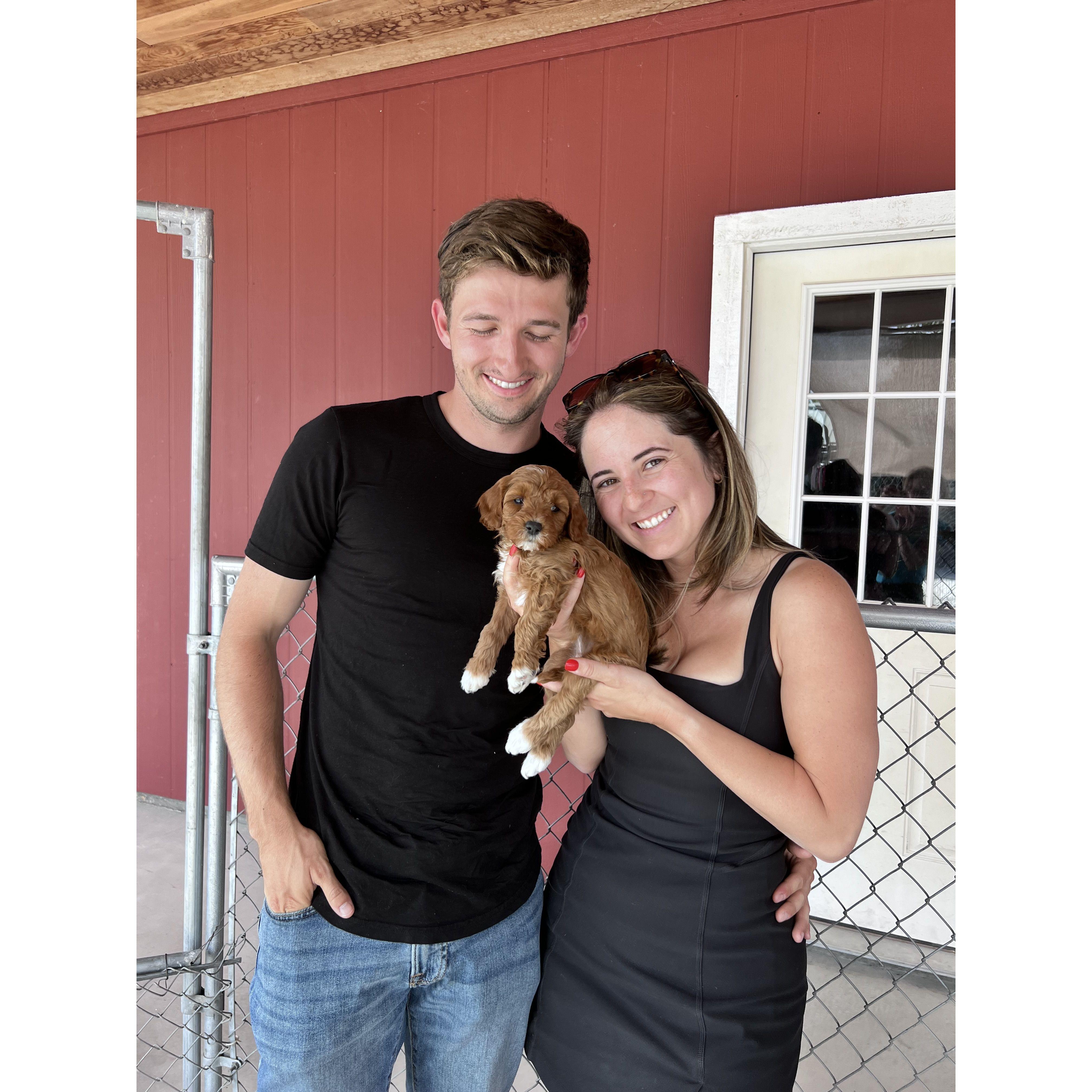 The day we picked Mabel <3