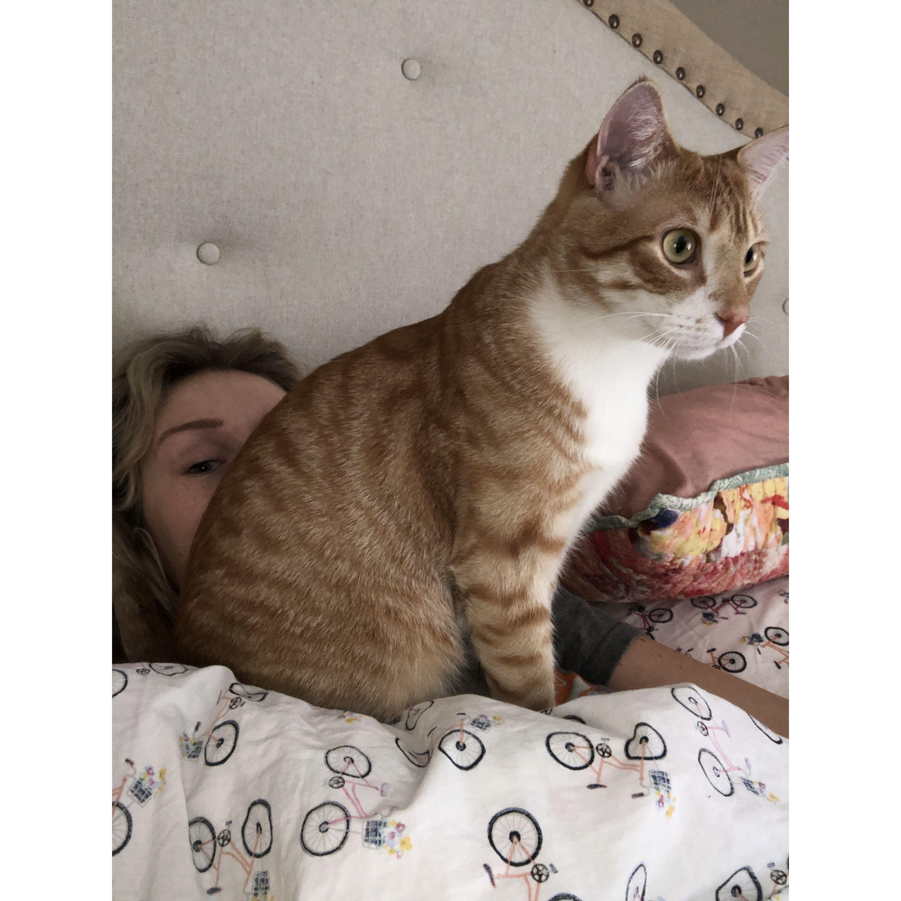 Our sweet boy Growler.