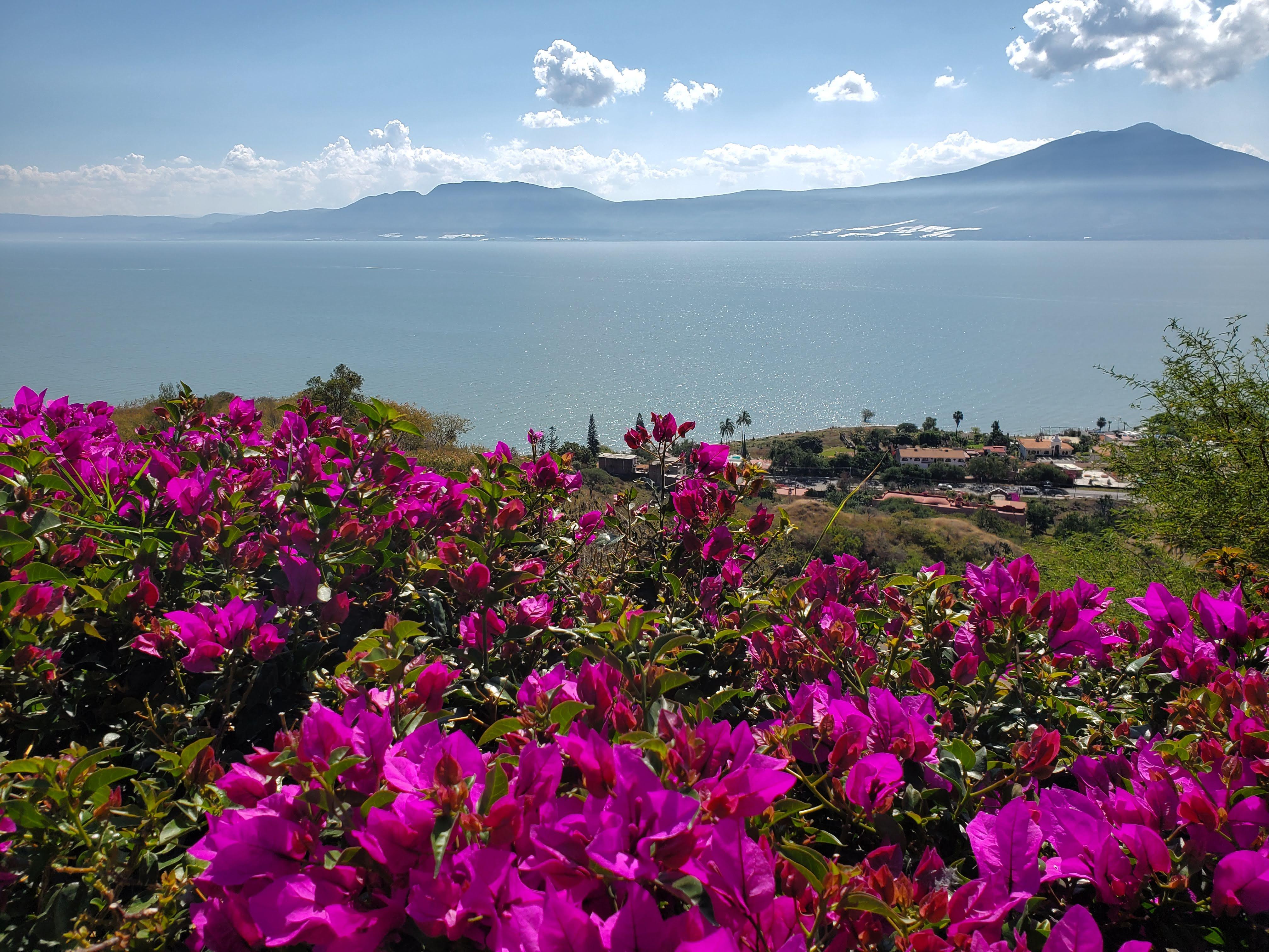 The Wedding Website of Jessica Brown and Scott Gillies