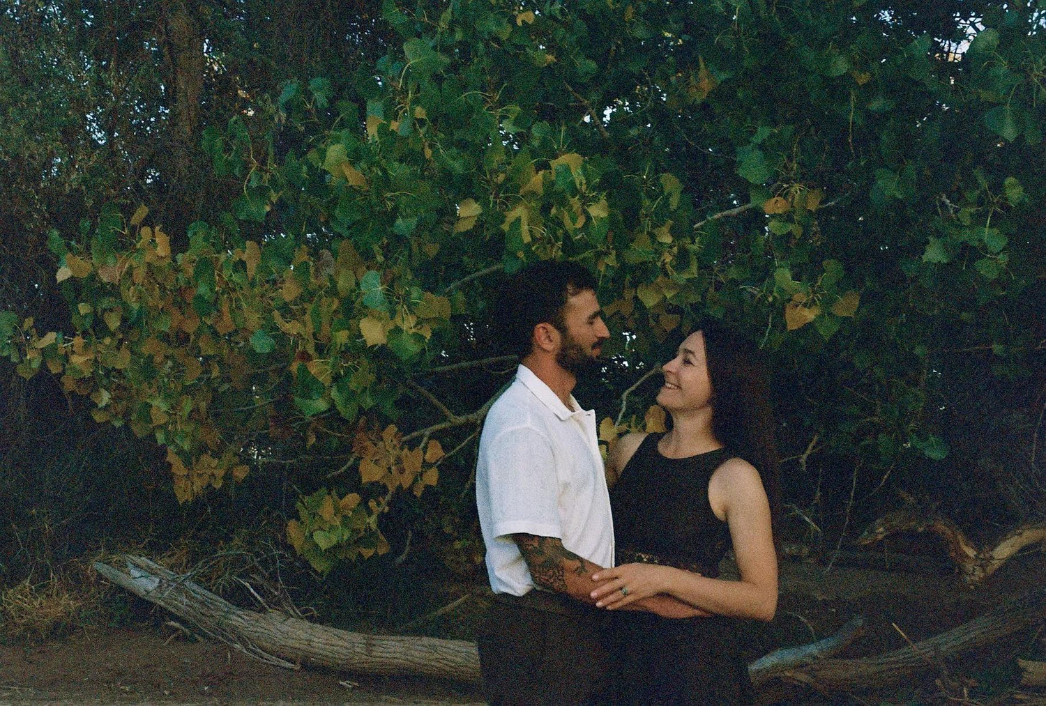 The Wedding Website of Saba Ijadi and Theresa Lewis