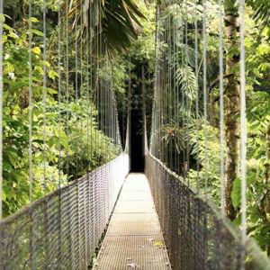 Honeymoon Excursion