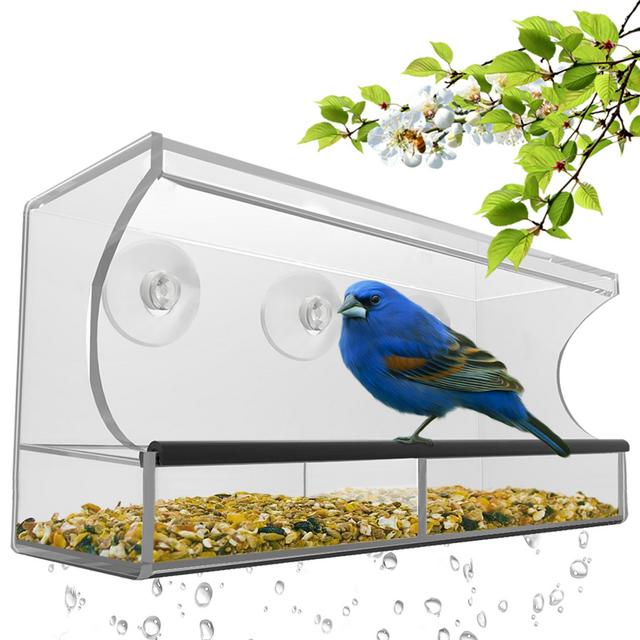 Nature's Hangout Window Bird Feeder with Removable Tray, Drain Holes and 3 Suction Cups, Large, Clear