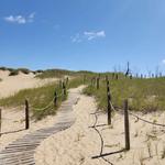 Kohler-Andrae State Park