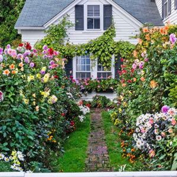 Home Down Payment