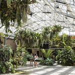 San Diego Botanic Garden
