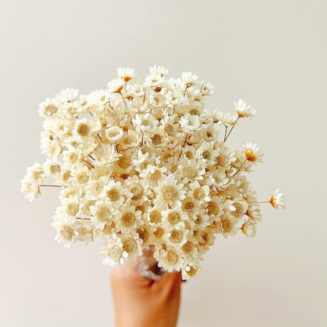 Natural - Dried - Flowers Brazilian Small Star Daisy Dried Decorative Mini Chamomile Bouquet for Wedding Floral Arrangements Home Decorations Valentine's Day Gifts (200 Stems) (White)
