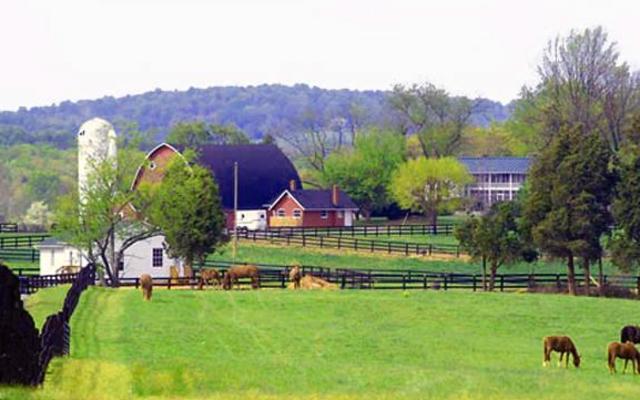 The Wedding Website of Jacklyn Hooey and Sam Simmons