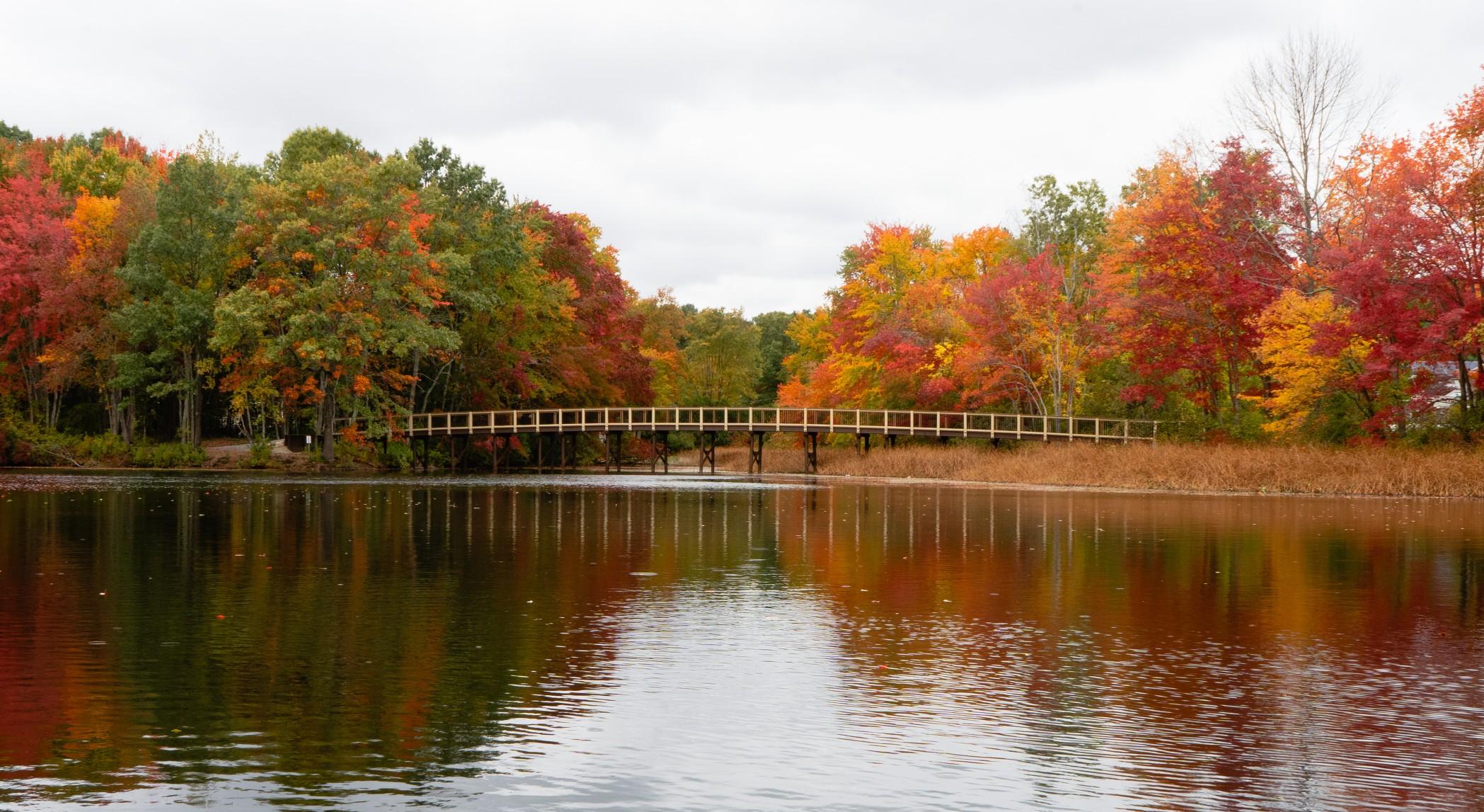 The Wedding Website of Emily Hartsell and Kevin Taylor