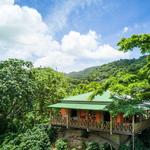 Hacienda San Pedro Jayuya - Coffee Shop