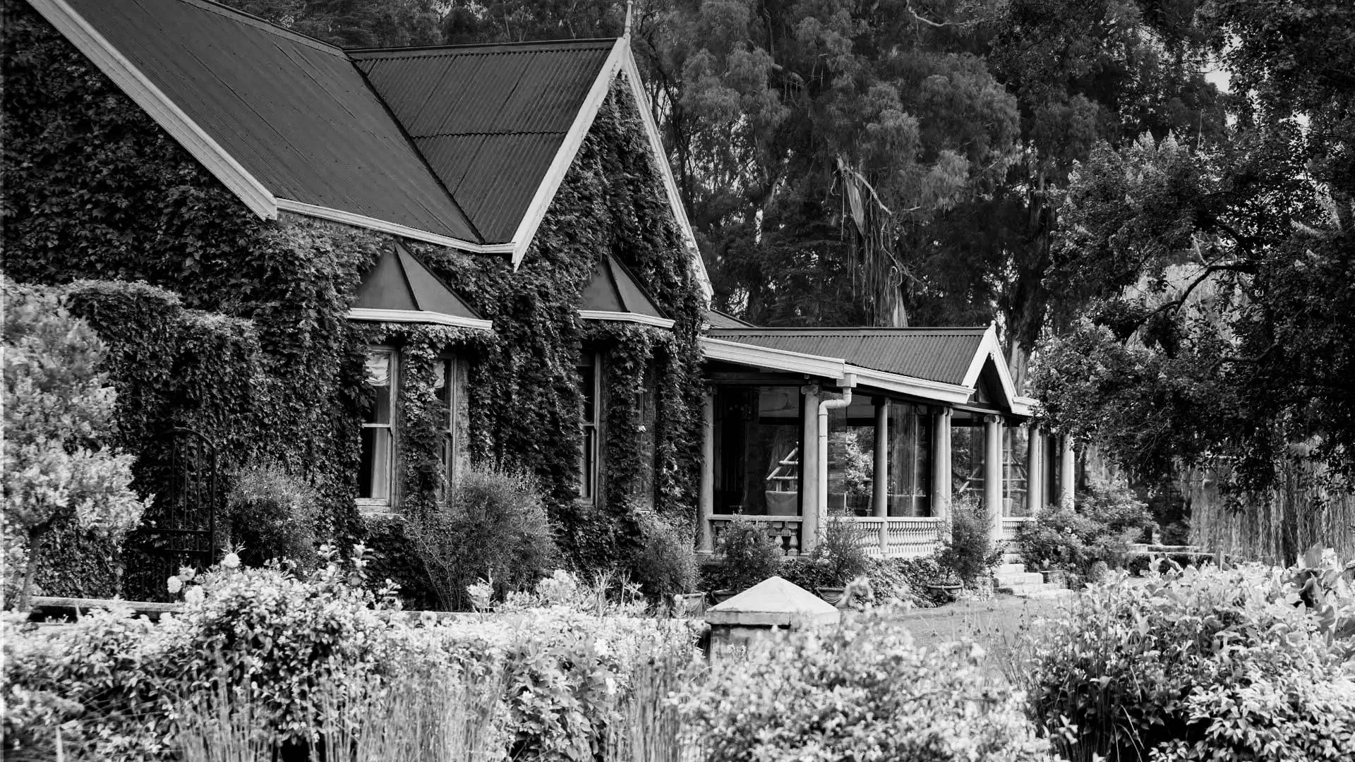 The Wedding Website of Tayla Hoar and Baron Pearce
