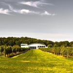 Saltwater Farm Vineyard