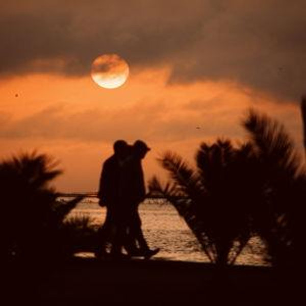 Honeymoon Fund