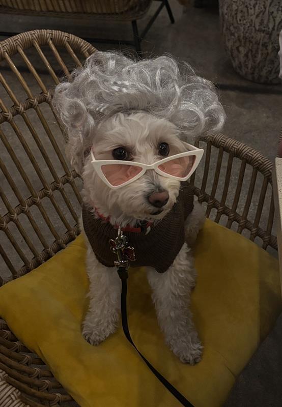 The Wedding Website of Chasen Chapman and Yaejin Ryu