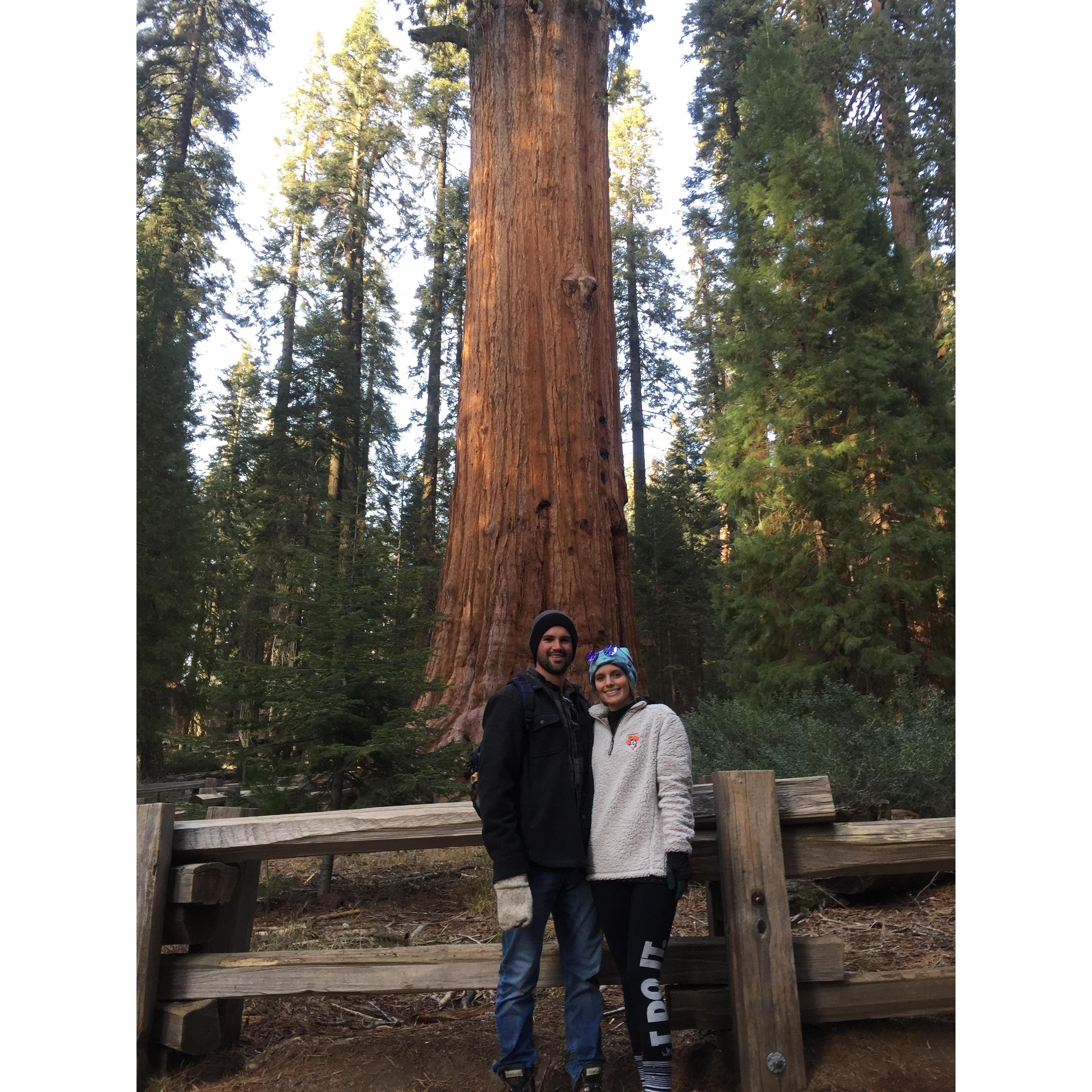 Standing in front of the tallest tree on Earth, "General Sherman" at Sequoia National Park, December 2017