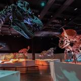 Houston Museum of Natural Science