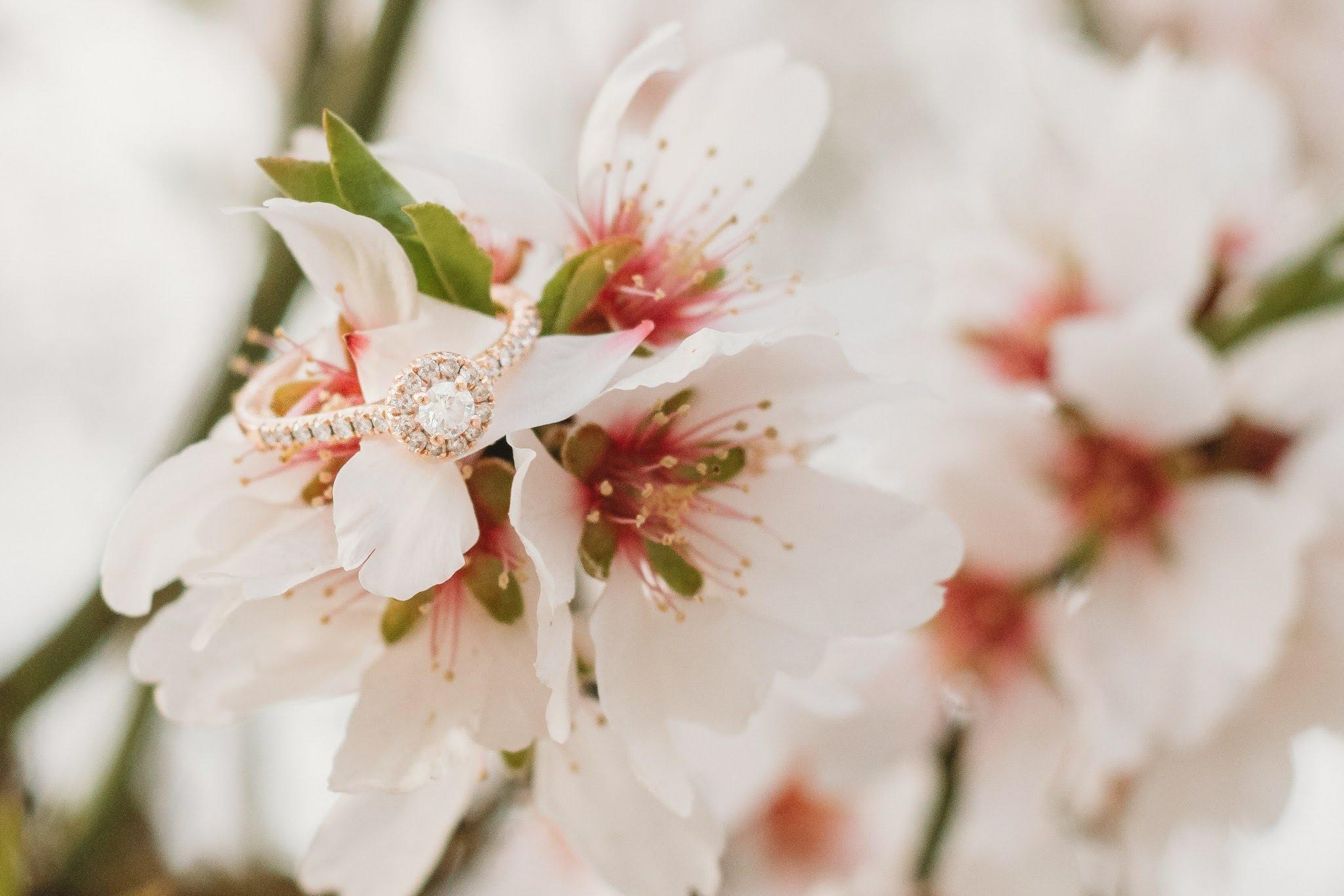 The Wedding Website of Graciela Jimenez and Felipe Rivera