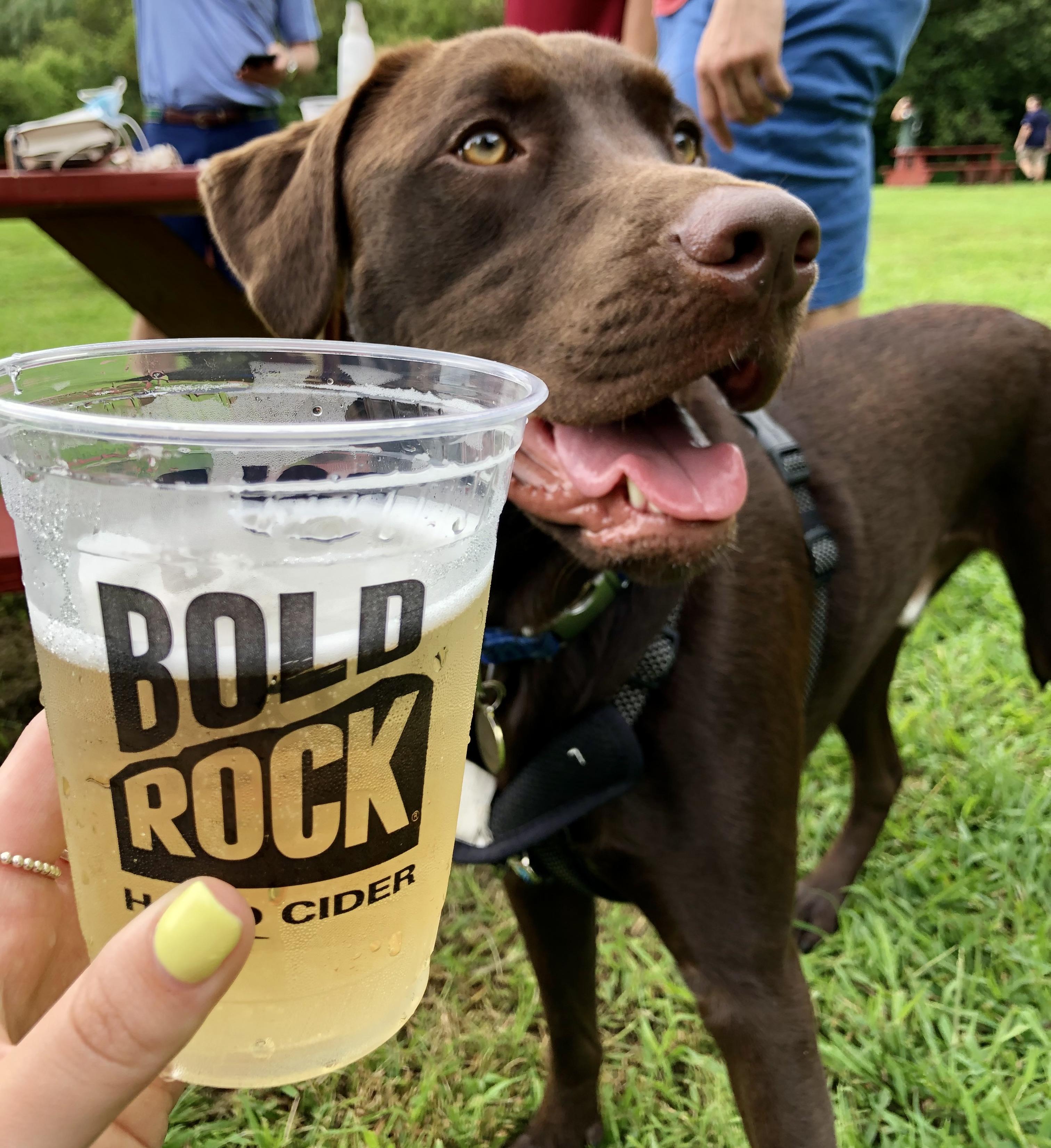 The Wedding Website of Taylor Myers and Anton LeKang