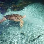 National Aquarium