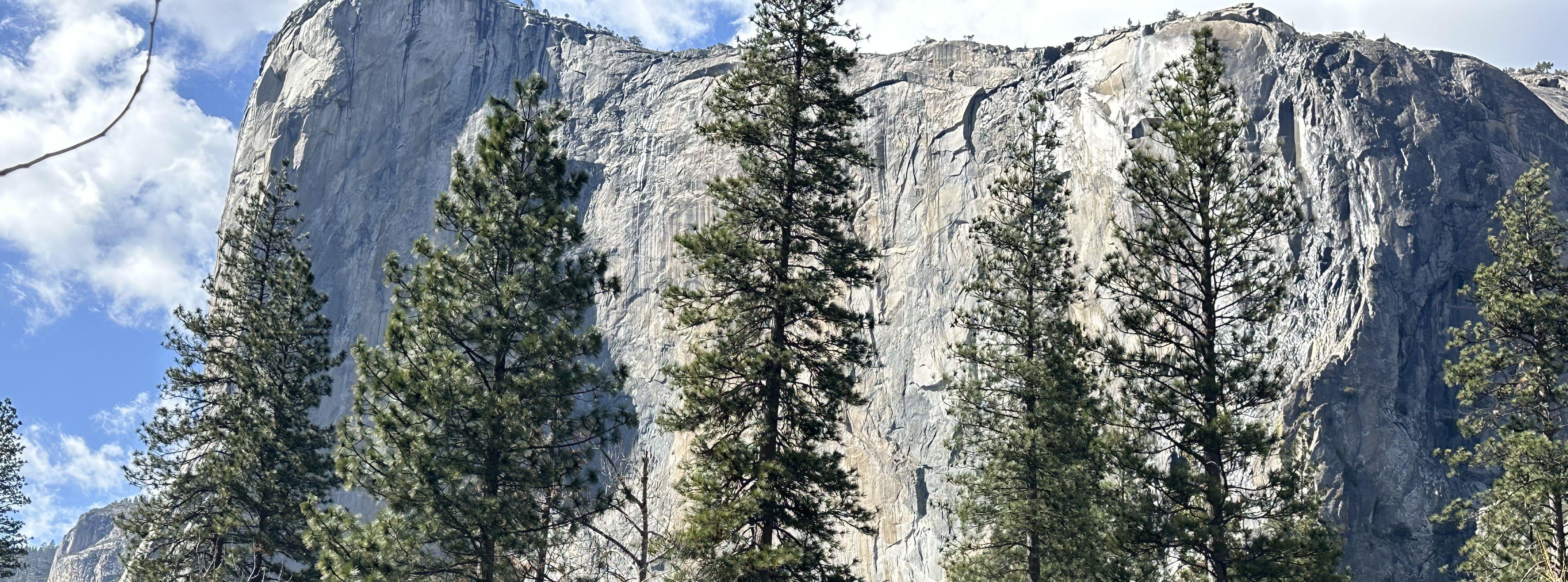 0f98f14d-2bba-4b90-8065-f7c855ebaea6