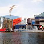 The National Aquarium