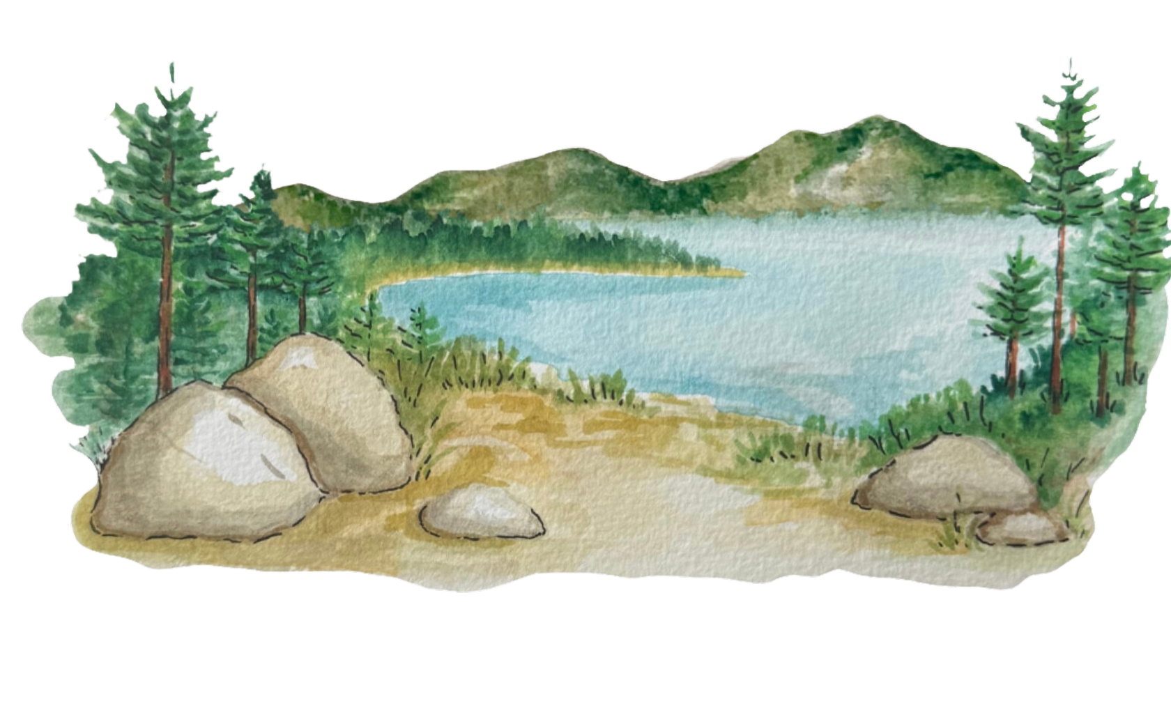 The Wedding Website of Amy Harmon and Mitchell Olinger