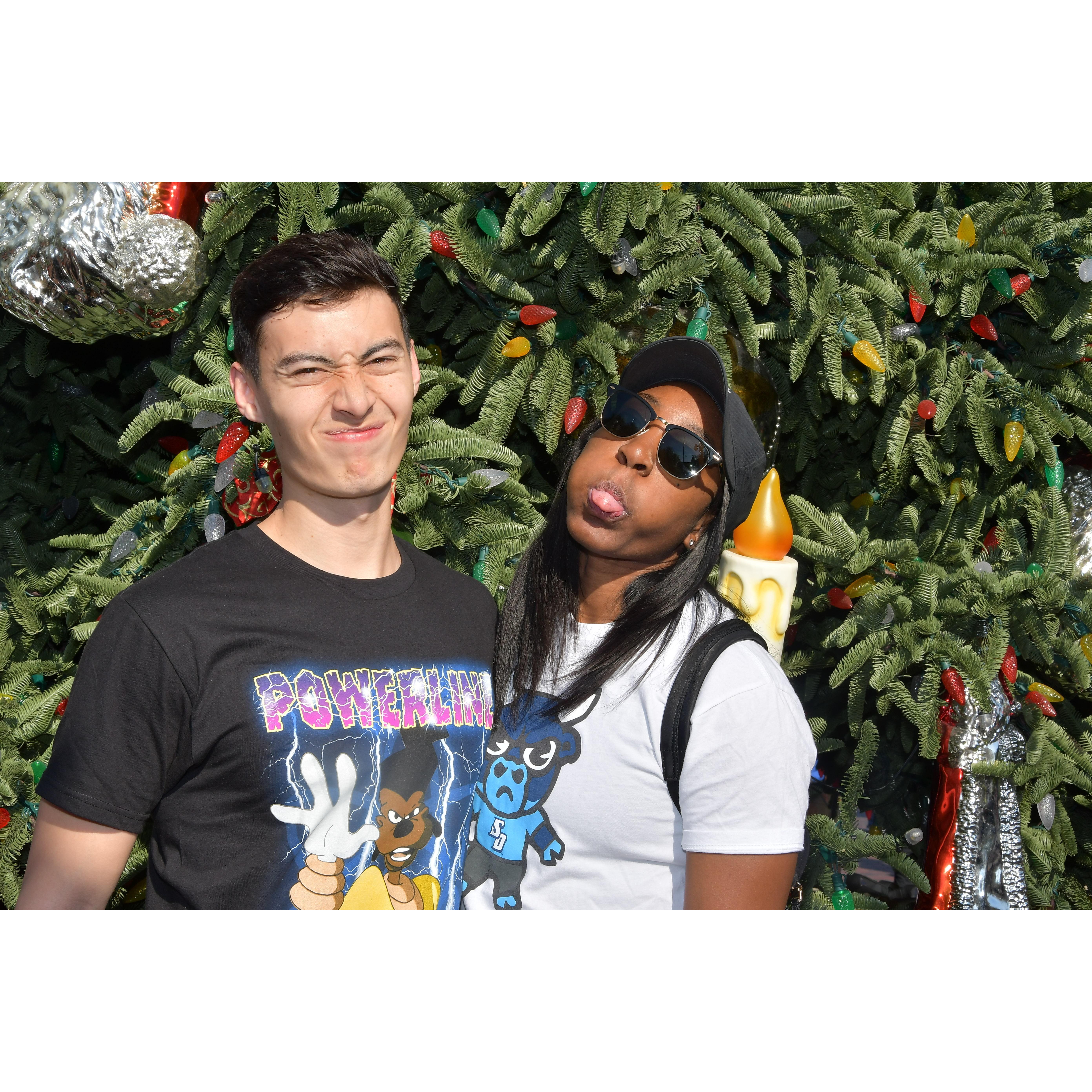 2020: Disneyland before the pandemic