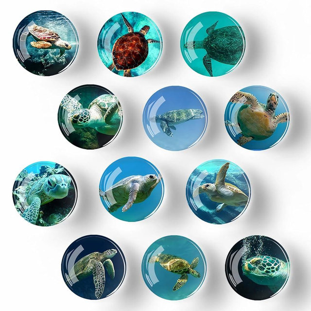 12Pcs Glass Refrigerator Magnet Fridge Sticker,Turtle Fridge Magnets Decoration for Crafts,Strong Fridge Magnets for Kitchen, School,Office Whiteboard, Cabinet and Dishwasher