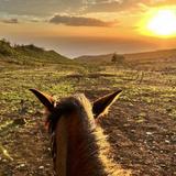 Pālehua Trail Rides