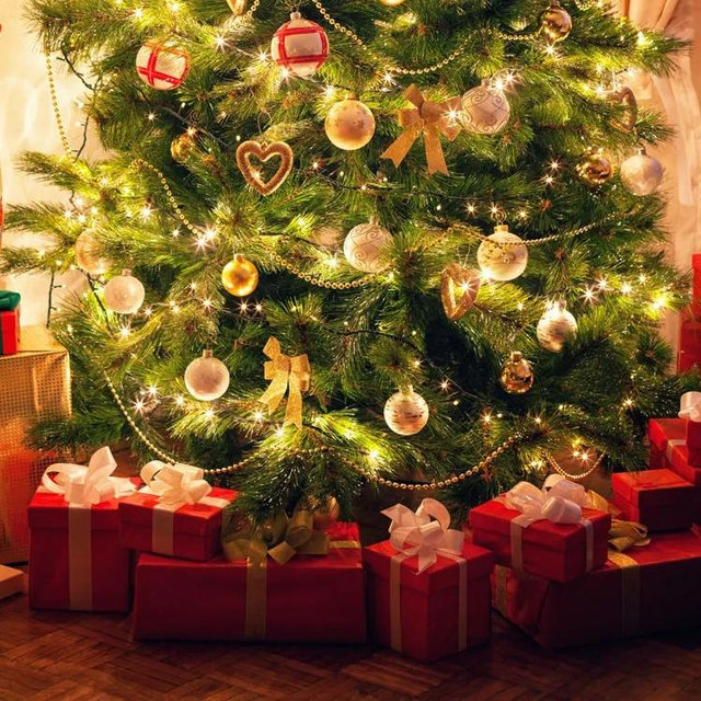 Our First Christmas Tree