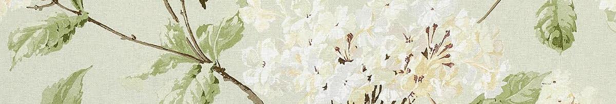 The Wedding Website of Caroline Moberly and Adam Drye