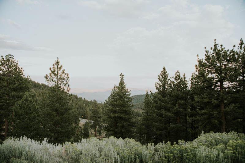 The Wedding Website of alyssa bianchi and anthony herrera