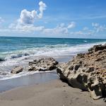 The Nature Conservancy Blowing Rocks Preserve