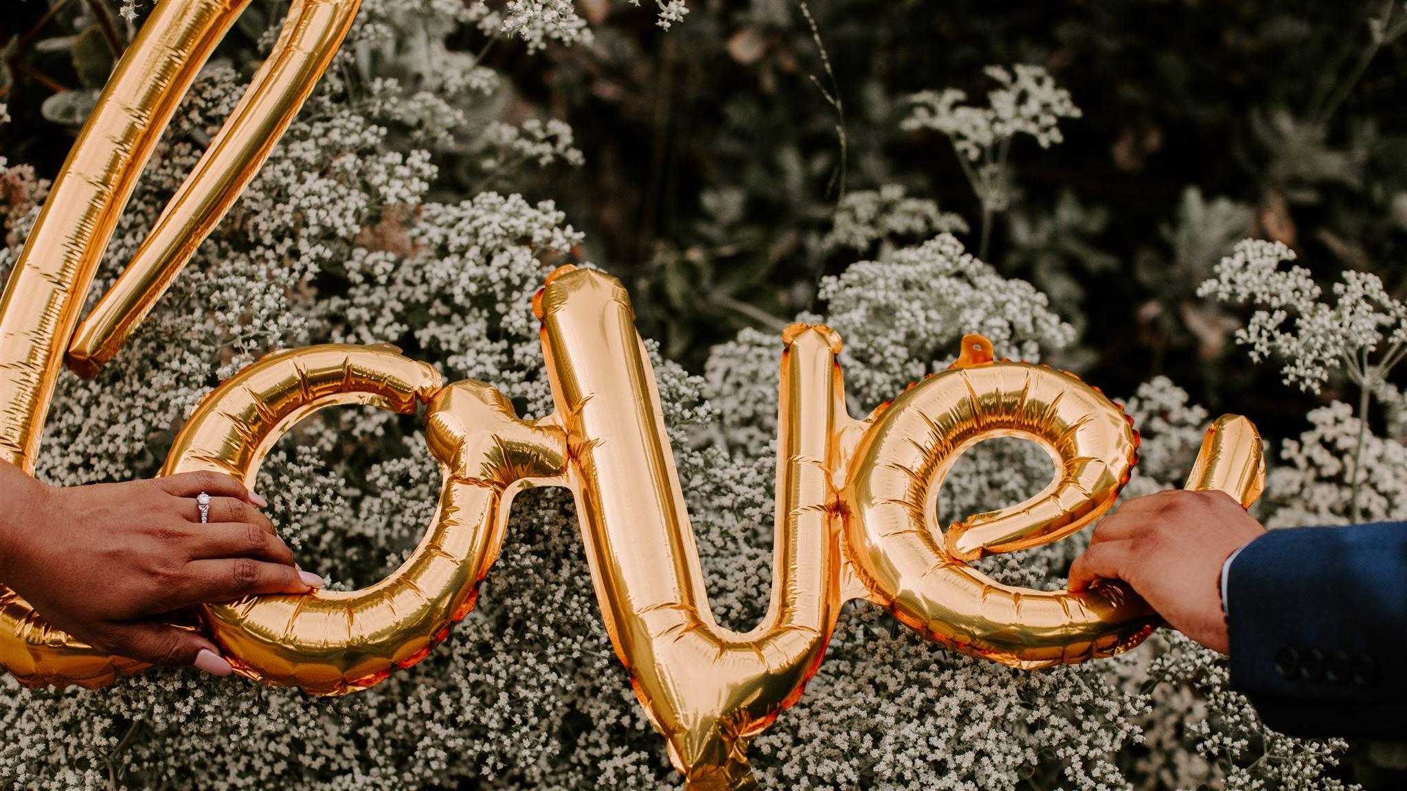 The Wedding Website of Elfego Ramirez and Tania Arriaga
