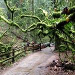 Lower Macleay Park