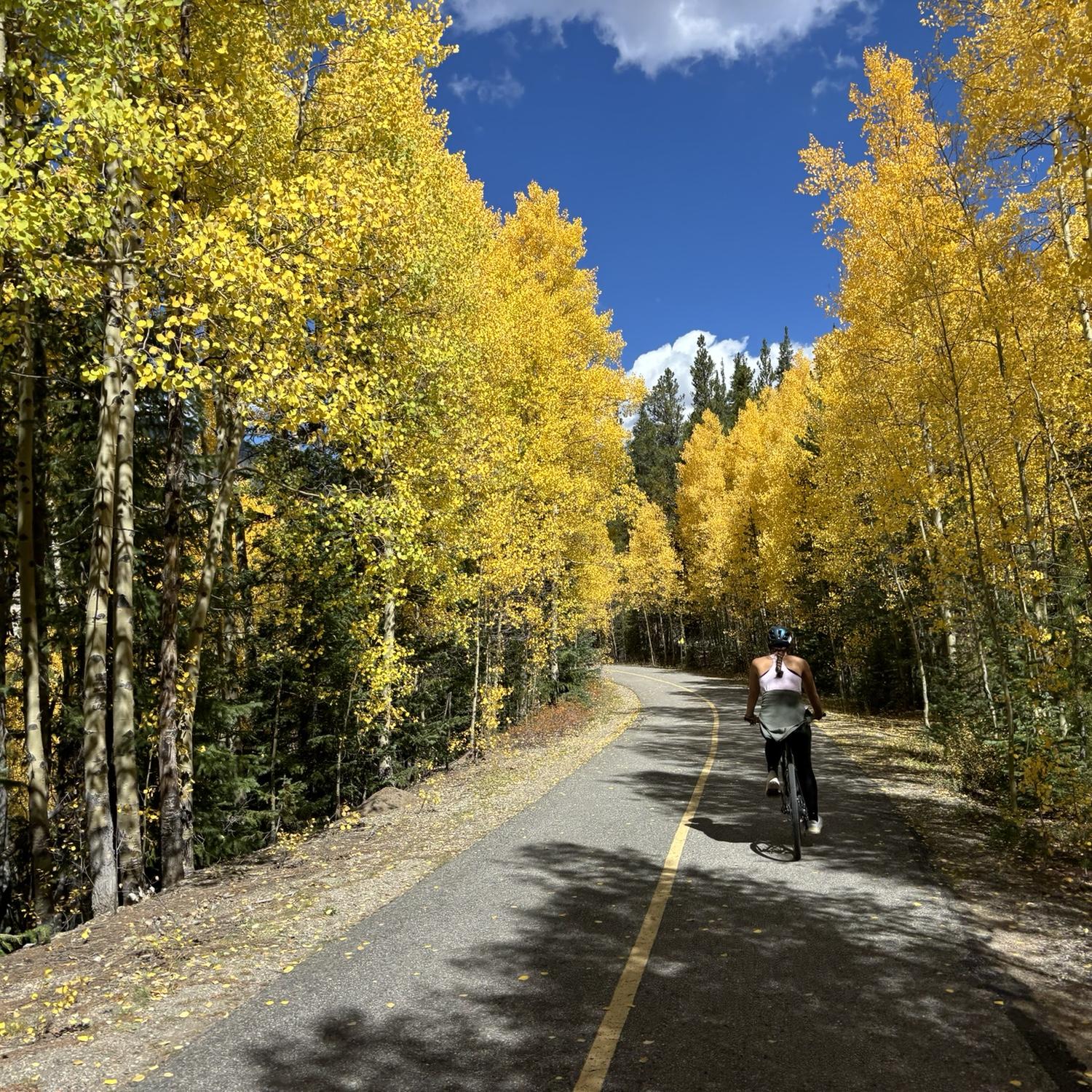 bike trip with residency!