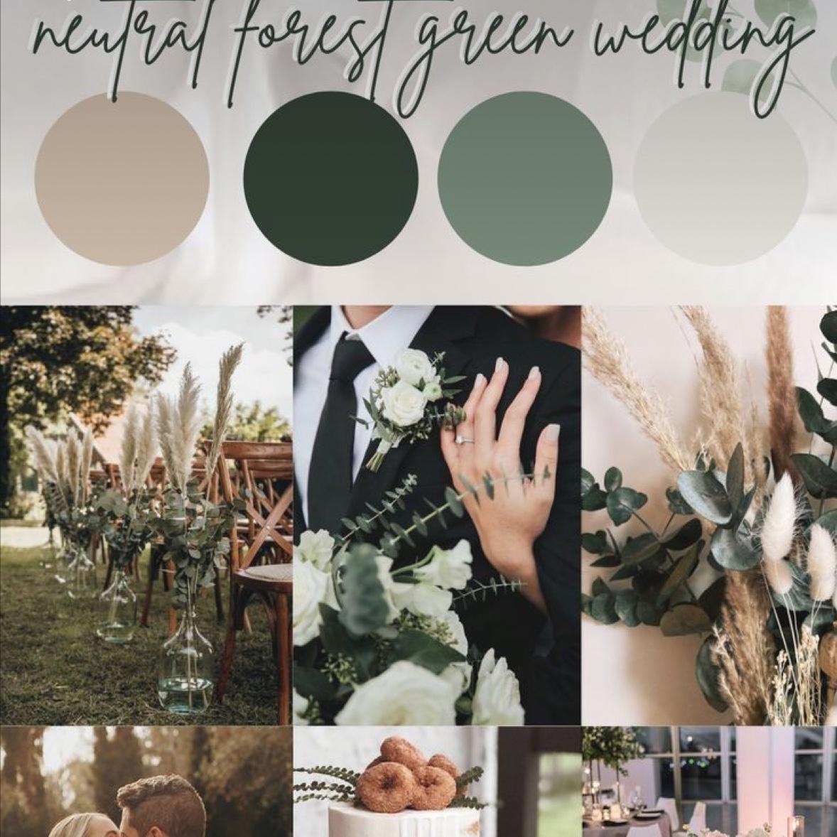 Wedding color scheme if your having trouble picking something to wear (: