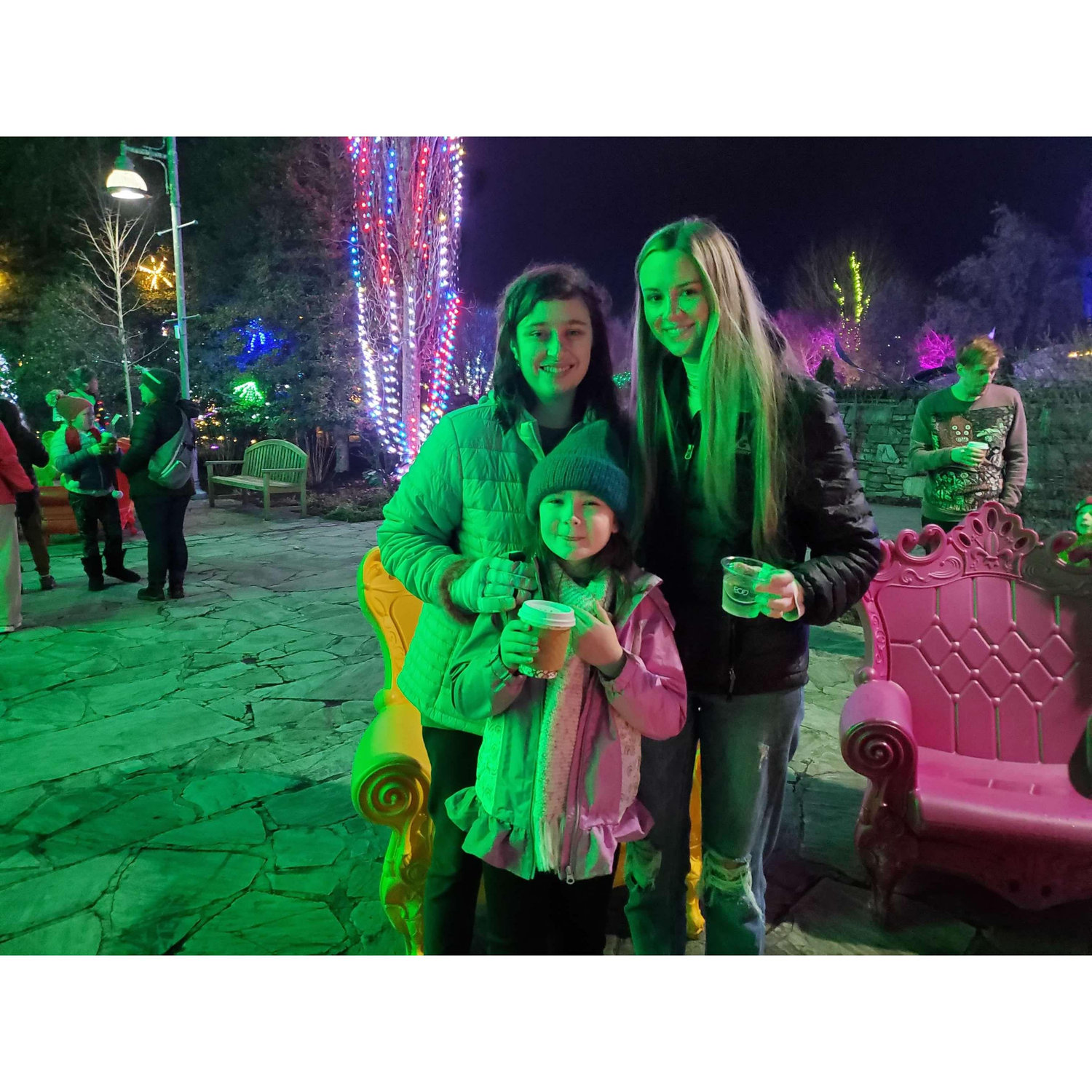 The NC Arboretum at Christmas