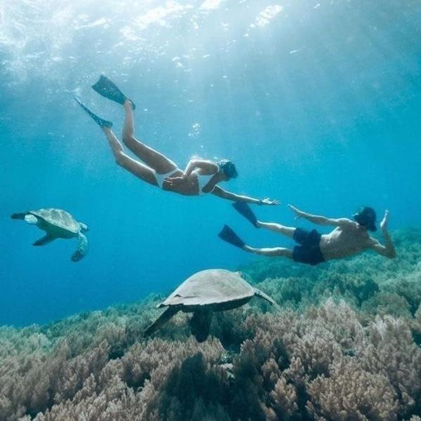 Snorkeling Adventure