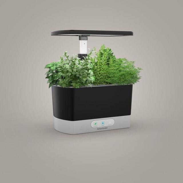 The AeroGarden Harvest