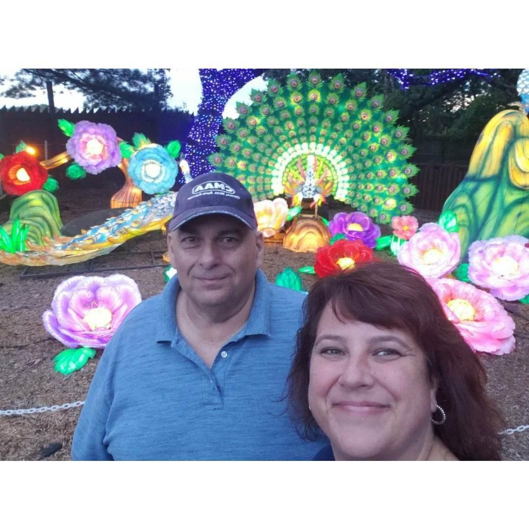 Bucket Adventure - Chinese Lanters, Southwick Zoo