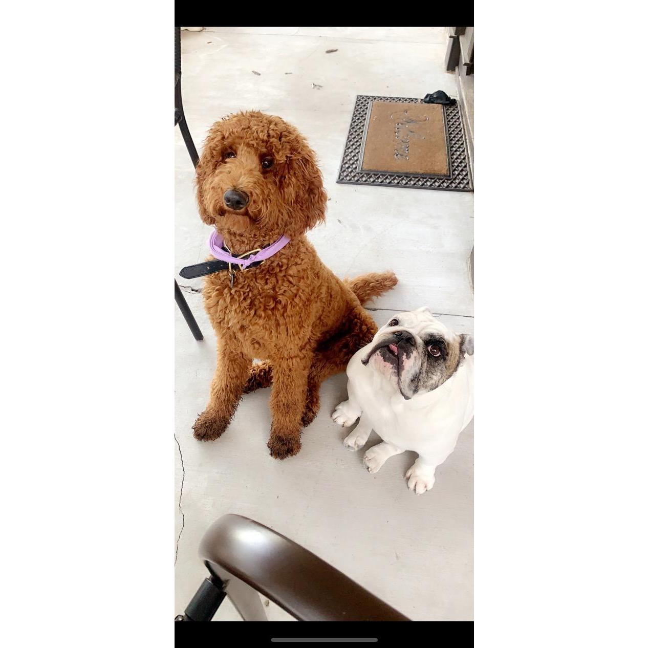Our babies, Dottie and Dude <3
