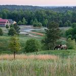 The Stables