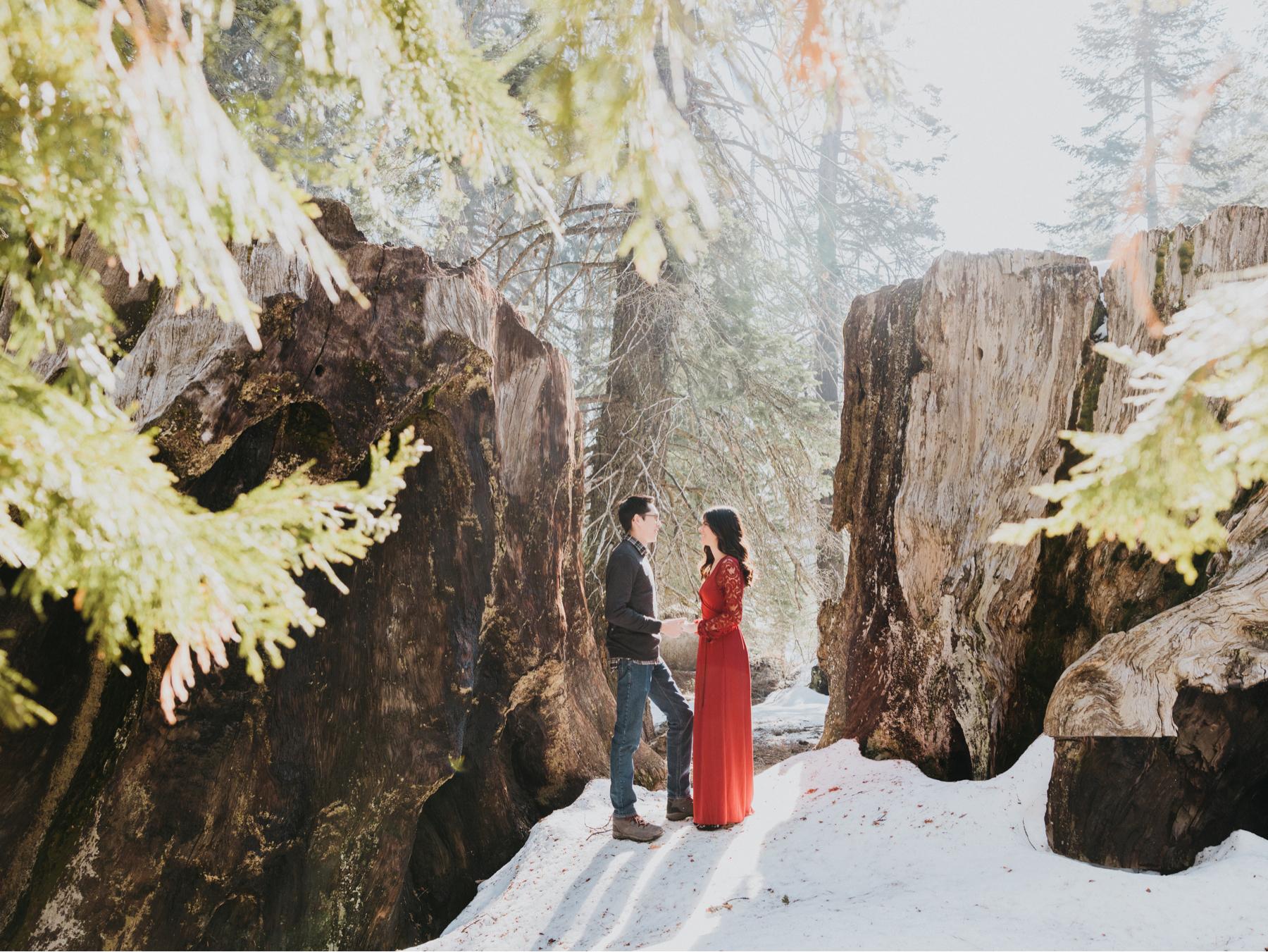 The Wedding Website of Michael Kanzler and Danielle Bauer