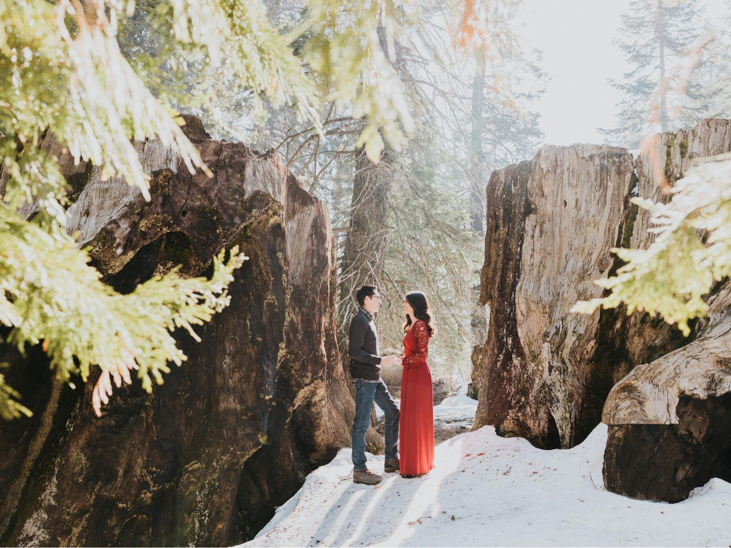 The Wedding Website of Michael Kanzler and Danielle Bauer