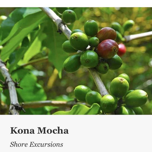 Coffe amd chocolate tour of Kona