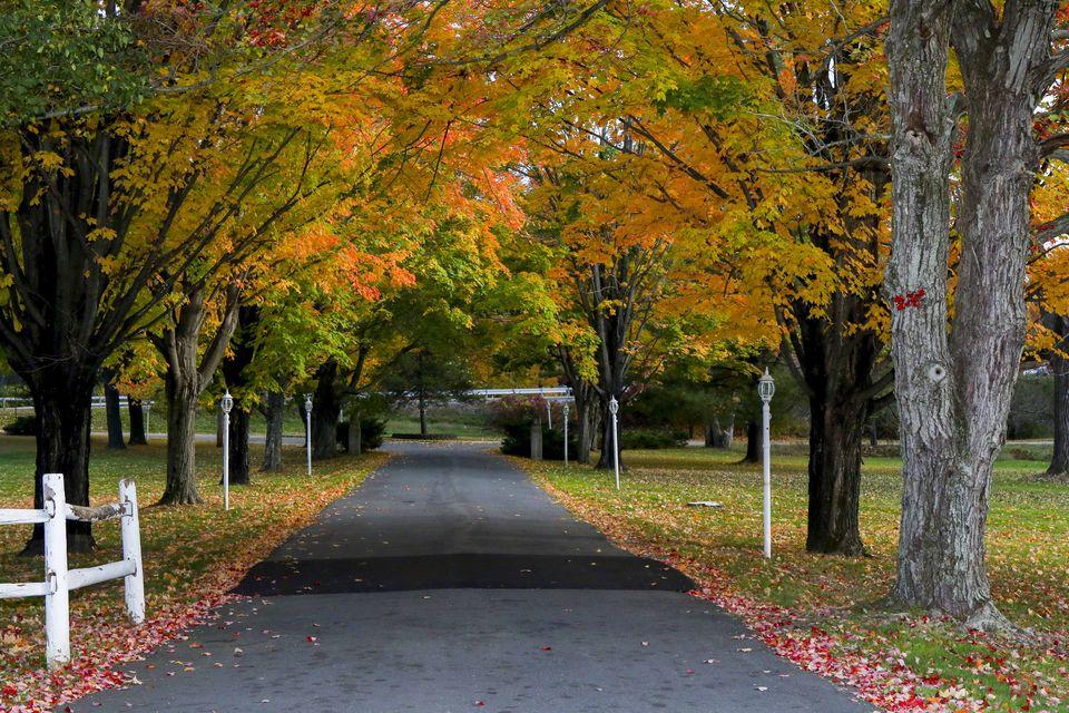 The Wedding Website of Alex Carrero and Chelsea Rubalcaba