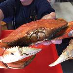 Spud Point Crab Company