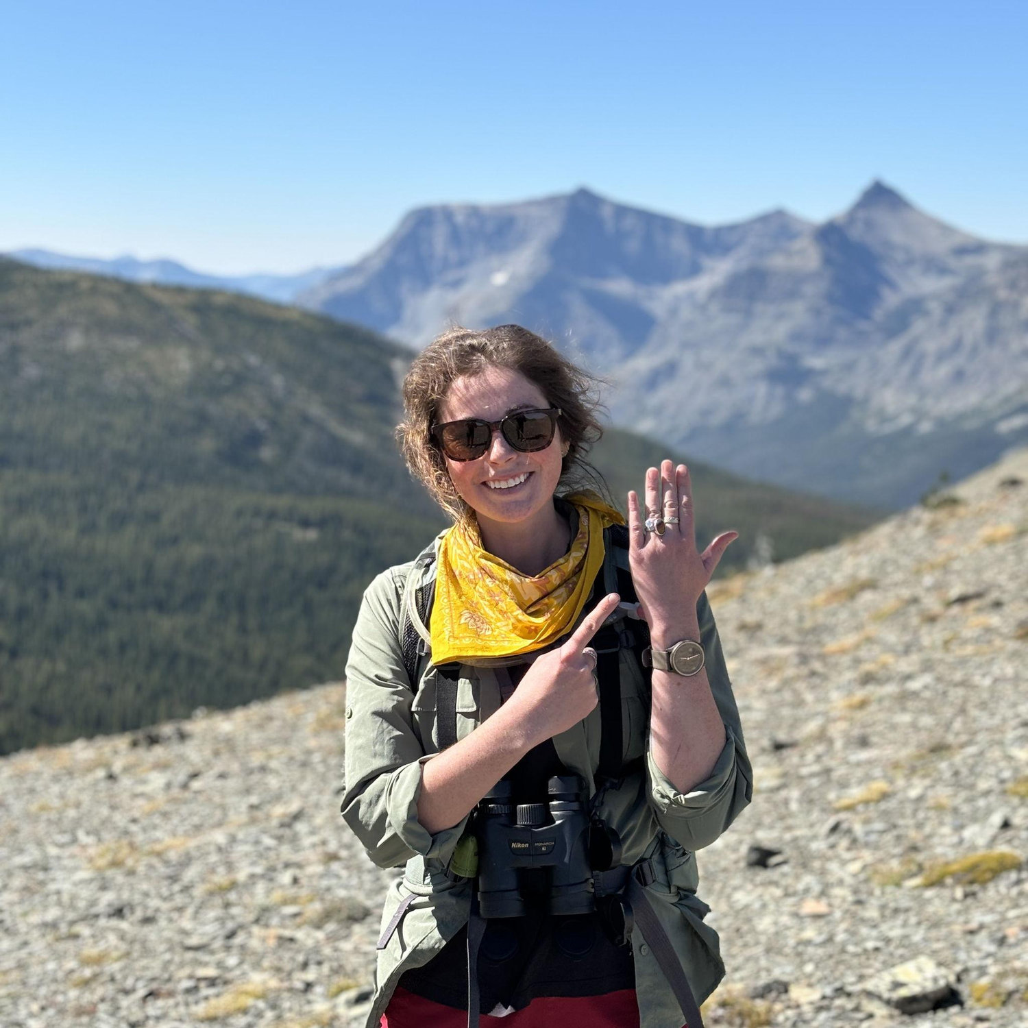 Firebrand Pass, GNP