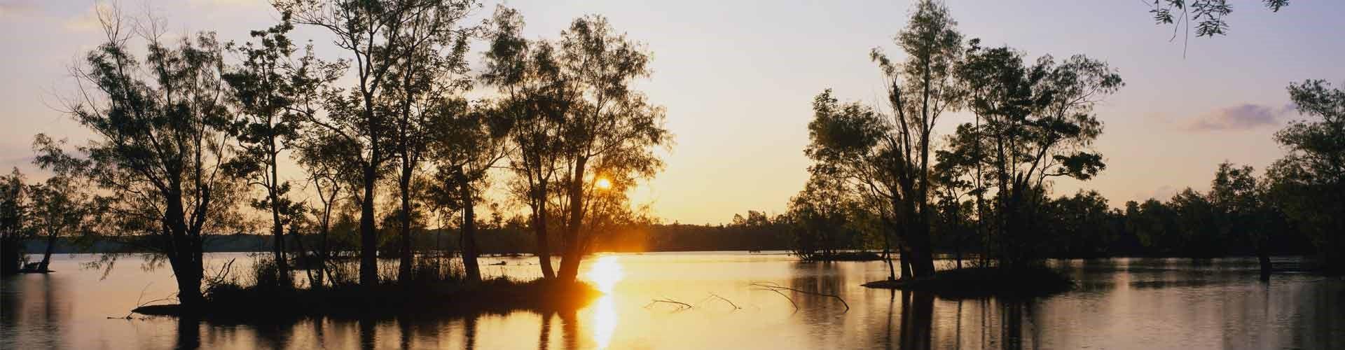 The Wedding Website of Myesha McGarner and Kenneth Bell