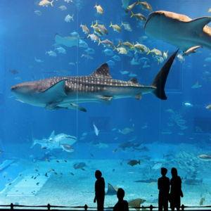 Osaka Aquirium tickets